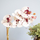 Kit 2 Arranjos De Orquídea E Peperômia No Vaso Bronze | Formo